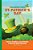 Celebrating St. Patrick's Day: History, Traditions, And Activities - A Holiday Book For Kids-.. - Imagem 1