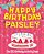 Happy Birthday Paisley - The Big Birthday Activity Book: (Personalized Children's Activity Book)-.. - Imagem 1