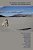The Kimball Challenge At Fifty: Mormon Arts Center Essays-.. - Imagem 1