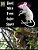Giant Mice From Outer Space: (The Adventures Of Finny The City Cat)-.. - Imagem 1