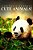 Cute Animals! - Curious Kids Press: (Picture Book, Children's Book About Animals, Animal Books For Kids 5-7)-.. - Imagem 1