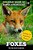 Foxes: The Sly Red Creatures-.. - Imagem 1