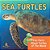Sea Turtles: Fun Facts About Turtles Of The World-.. - Imagem 1