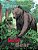 The Lost Bear-.. - Imagem 1