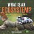 What Is An Ecosystem? Biotic Factors, Abiotic Factors, Habitats And Niches Explained Grade 6-8 Life Science-.. - Imagem 1