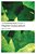 The Routledgefalmer Reader In Higher Education-.. - Imagem 1