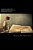 Animal Carvings From Mounds Of The Mississippi Valley-.. - Imagem 1
