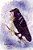 Raven's Key-.. - Imagem 1