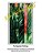 Elfie Wilkins-Nacht, The Hawaiian Paintings-.. - Imagem 1
