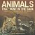 Animals That Hunt In The Dark - Nocturnal Animal Book 1ST Grade Children's Animal Books-.. - Imagem 1