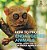 How To Protect Endangered Animals - Animal Book Age 10 Children's Animal Books-.. - Imagem 1