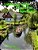 Lübbenau, Lehde - Paradies Im Spreewald-.. - Imagem 1