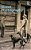 Street Photography: From Brassai To Cartier-Bresson-.. - Imagem 1