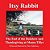 Itsy Rabbit The End Of The Rainbow And Thanksgiving At Mama Tilly'S: Itsy Rabbit And Her Friends-.. - Imagem 1
