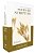 Nasb, Daily Scripture, Super Giant Print, Paperback, White/Gold, 1995 Text, Comfort Print: 365 Days To Read Through The Whole Bible In A Year-.. - Imagem 1
