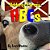 Udderly Farmy Abcs-.. - Imagem 1
