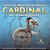 An Easy Reference To Identifying Cardinal And Intermediate Directions Social Studies Grade 2 Children's Geography & Cultures Books-.. - Imagem 1