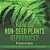 How Do Non-Seed Plants Reproduce? A Lesson On Spores Life Cycle Books Grade 5 Children's Biology Books-.. - Imagem 1