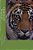 Animal Episodes-.. - Imagem 1