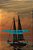 Voyager Gratuitment... Ou Presque: Edition Photo: Voyager Gratos Comme Les Dauphins-.. - Imagem 1