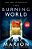 The Burning World: A Warm Bodies Novel-.. - Imagem 1