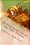 Amandy Pandy And The Lost Fairy Princess-.. - Imagem 1