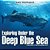 Exploring Under The Deep Blue Sea Children's Fish & Marine Life-.. - Imagem 1