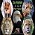 Zoo Animals: A To Z-.. - Imagem 1