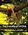 The Unreality Of Ufora/Nerealnost' Ufory: Notes On Contemporary Art-.. - Imagem 1