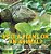 Is It A Plant Or An Animal? How Do Scientists Identify Plants And Animals? Compare And Contrast Biology Grade 3 Children's Biology Books-.. - Imagem 1