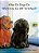 What Do Dogs Do When You Go Off To School?-.. - Imagem 1