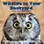 Wildlife In Your Backyard: If You Care - Leave It There!-.. - Imagem 1