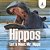 Hippos - Let's Meet Mr. Hippo-.. - Imagem 1