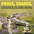 Frogs, Snakes, Crocodiles And More Amphibians And Reptiles For Kids Children's Reptile & Amphibian Books-.. - Imagem 1