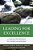 Leading For Excellence: A Twelve Step Program To Student Achievement-.. - Imagem 1