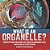 What Is An Organelle? Identifying Organelles And Examining Cell Organelle Functions Grade 6-8 Life Science-.. - Imagem 1