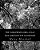 The Tanglewood Girls: A Play: Quiz Questions For Classrooms-.. - Imagem 1