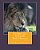Leo The Lion & Friends With Character: Character Is What We Build, Book #1-.. - Imagem 1