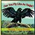 Can You Fly Like An Eagle?-.. - Imagem 1
