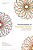 Positionalities Of Translation Studies: On The Situatedness Of Translation Research-.. - Imagem 1