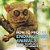 How To Protect Endangered Animals - Animal Book Age 10 Children's Animal Books-.. - Imagem 1