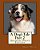 A Dog's Tale - Part 2: Gigantic Print Edition-.. - Imagem 1