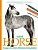 Isolated Horse Images For Artist's Reference And Inspiration-.. - Imagem 1