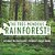The Tree-Mendous Rainforest! All About The Rainforests Children's Nature Books-.. - Imagem 1