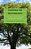 Essentials For New Principals: Seven Steps To Becoming Successful, Key Expectations And Skills-.. - Imagem 1