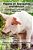 Vegans On Speciesism And Ableism: Ecoability Voices For Disability And Animal Justice-.. - Imagem 1