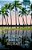 Polynesian Syntax And Its Interfaces-.. - Imagem 1
