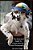 The Illustrated Guide To Award-Winning Animal Photography By Larry Singer-.. - Imagem 1