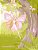 Feenmalbuch 2-.. - Imagem 1