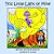 This Little Light Of Mine: A Quest With Flicker And Friends-.. - Imagem 1